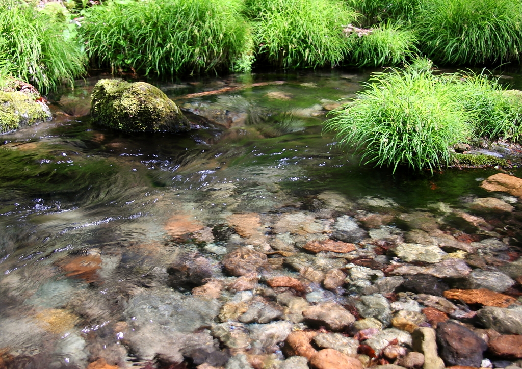 くじゅう、男池1