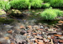 くじゅう、男池1