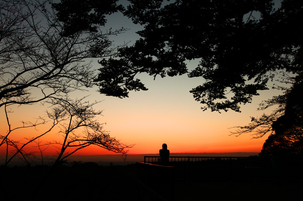 夕日の中で