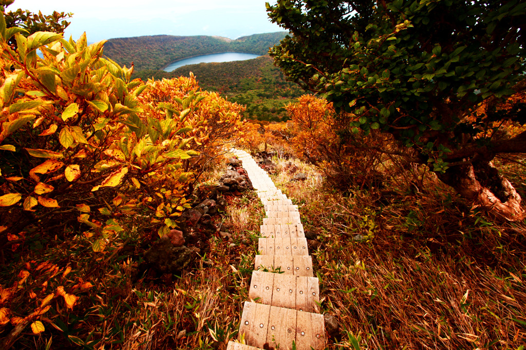 山道を行く