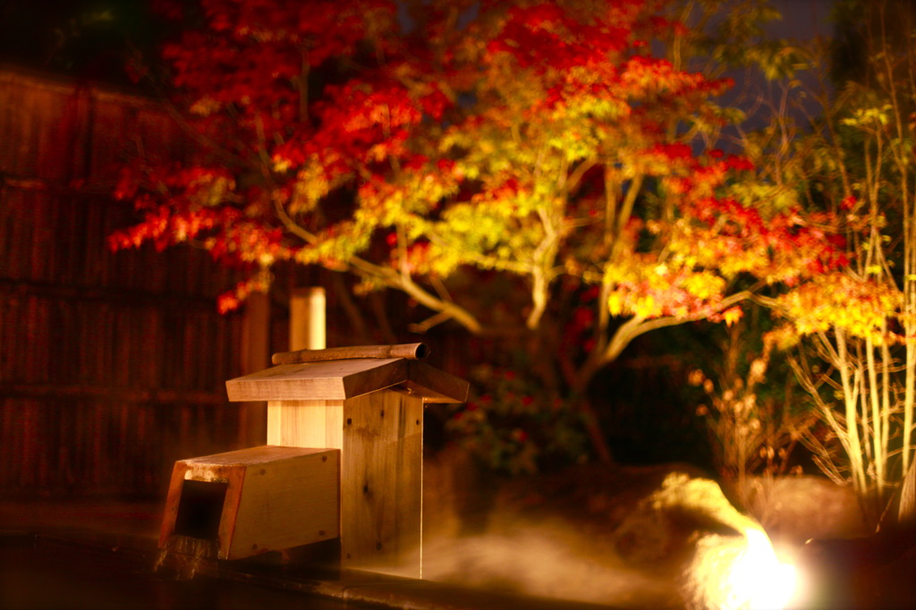 温泉と紅葉