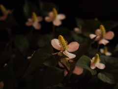 夜の世界