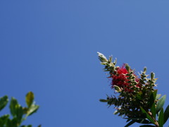 空は高く