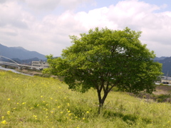 一人ぼっち