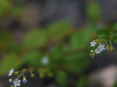 ミクロの世界