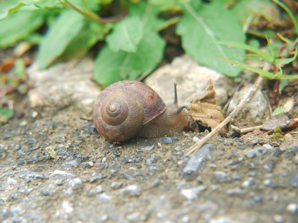 もぉすぐ主役　小さな命