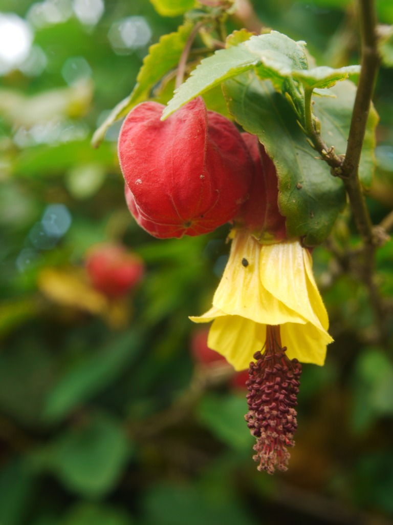 上ばかり見ず、足元にも気を配って。