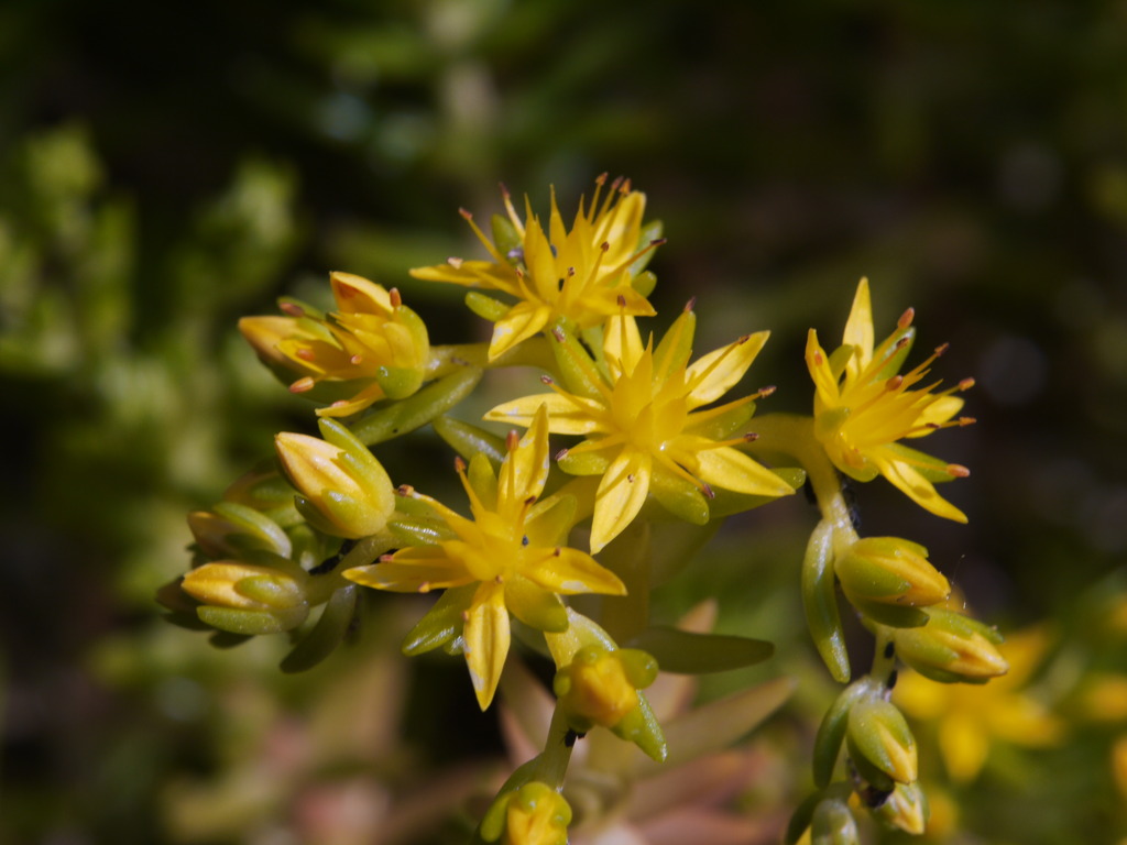 縁の下の力持ち