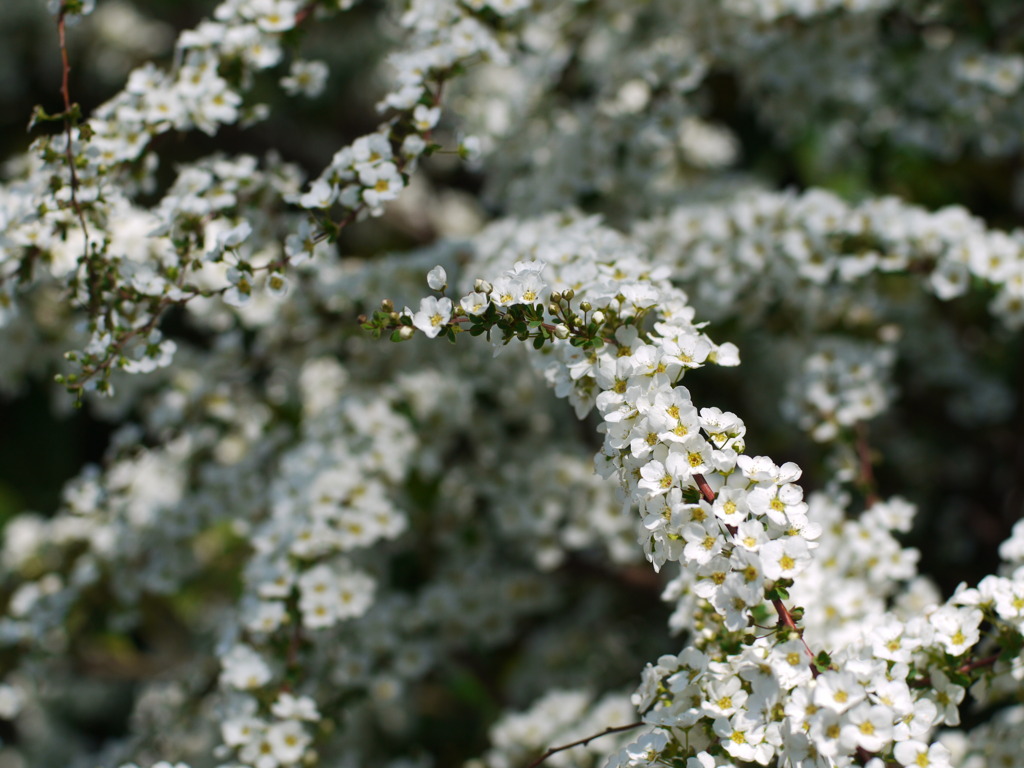 どこに合わせればいいの?