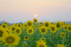 ・・・・難しい・・
