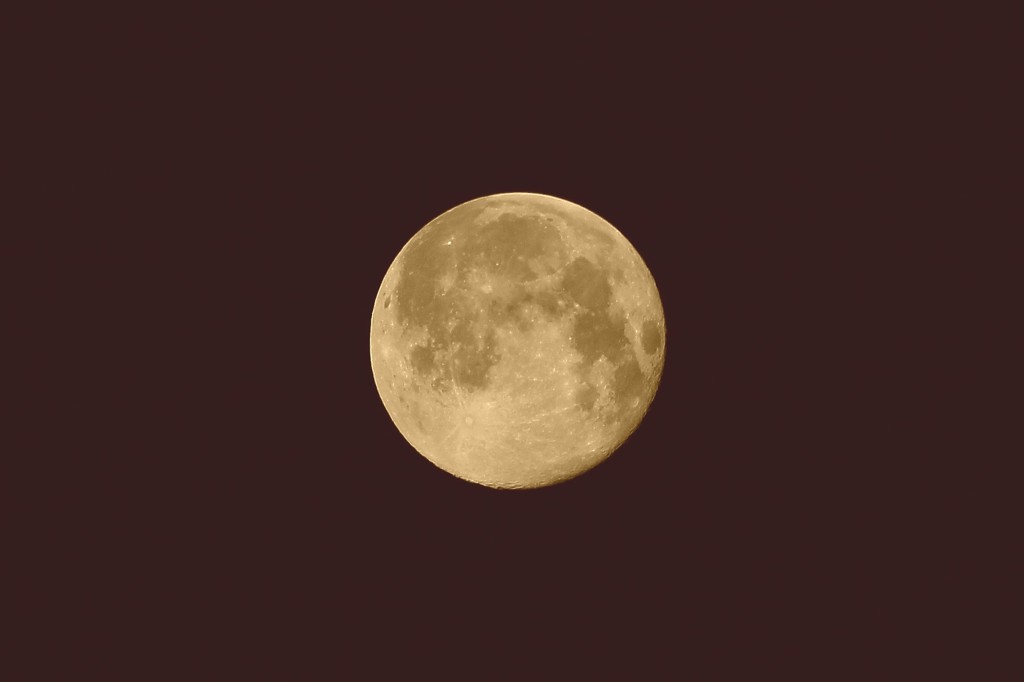 真夏の夜の夢