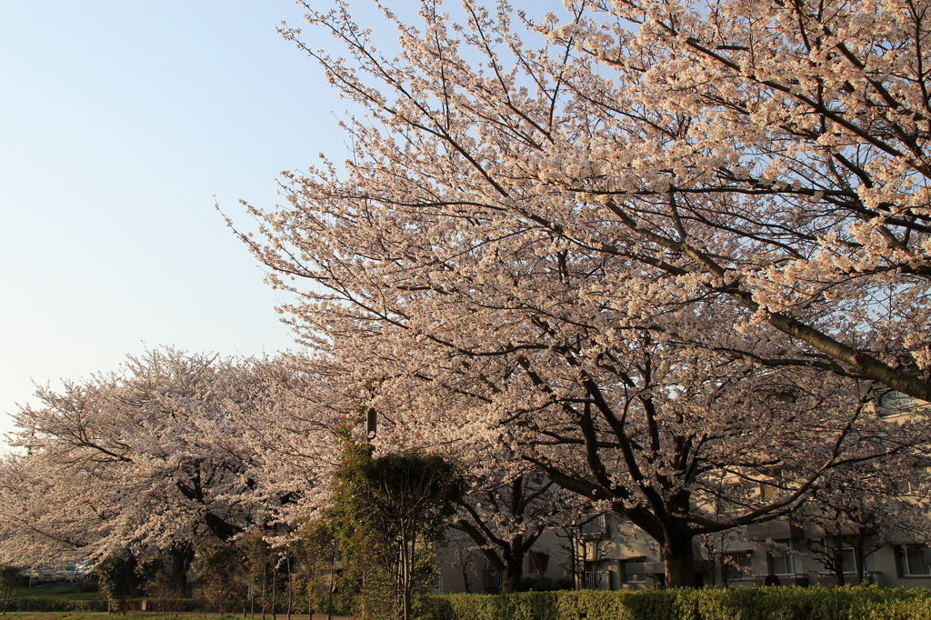 2012年ふるさと尾根道（その1）