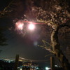 桜雲