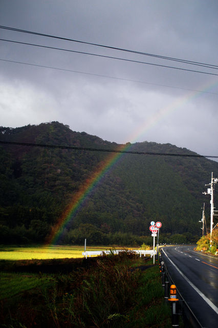 雨上がりにできた虹