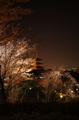 高台寺から見える風景