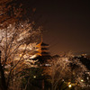 高台寺から見える風景