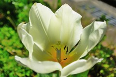 IMGP9957