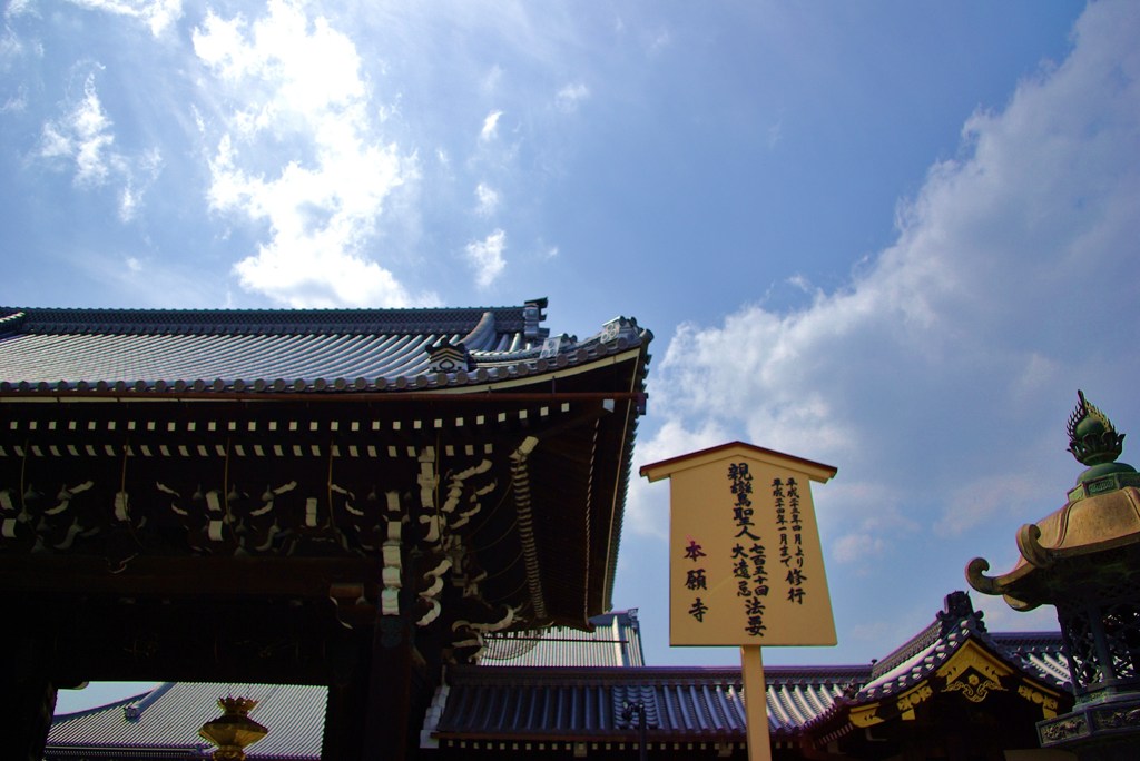 IMGP0222