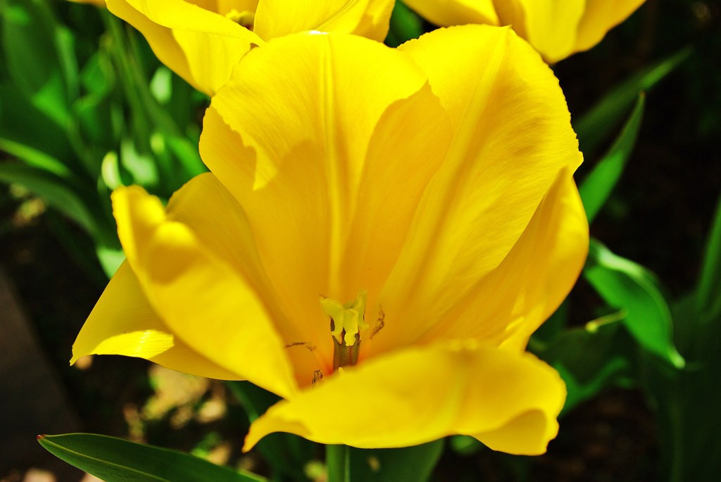 IMGP9961