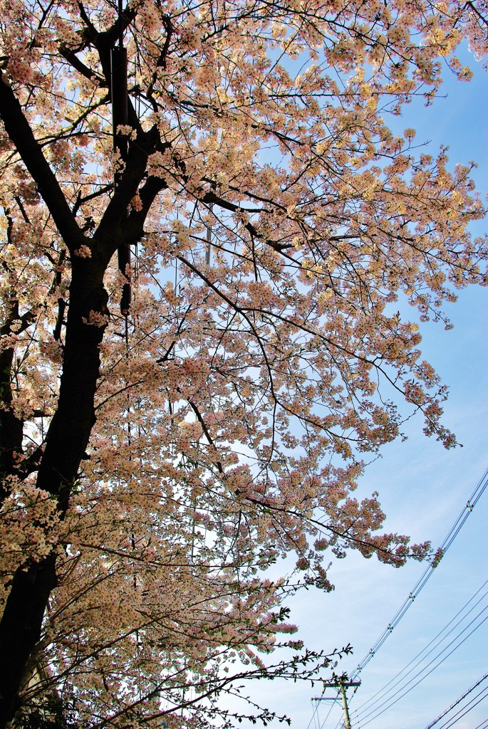 IMGP0140