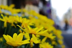 IMGP0144