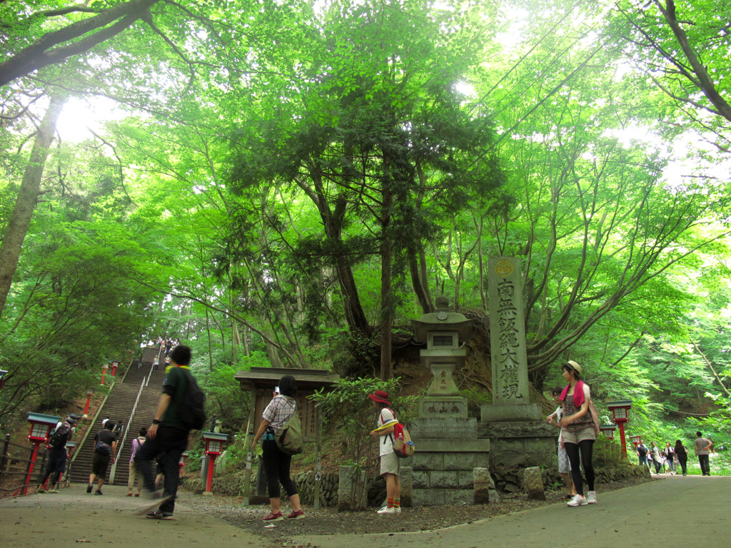 緑の分かれ道