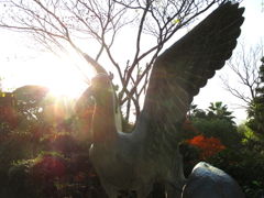 冷晴