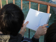 ペンギンはそっちじゃない