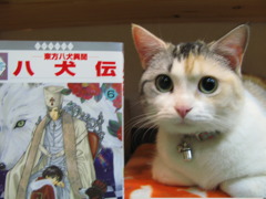 解せぬ