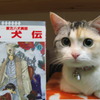 解せぬ