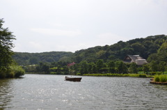 横浜市の自然