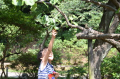 セミの抜け殻見つけた！！！