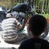 なにしてるのかな。