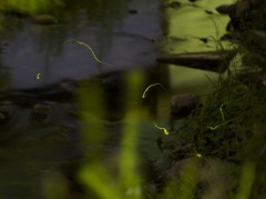 L1000144a