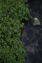 VD6Q1247 - iPhoto 編集済み