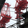 東京スカイツリー