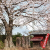 桜の下の道祖神