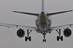 空飛ぶクジラ