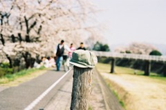 少年よ帽子を抱け