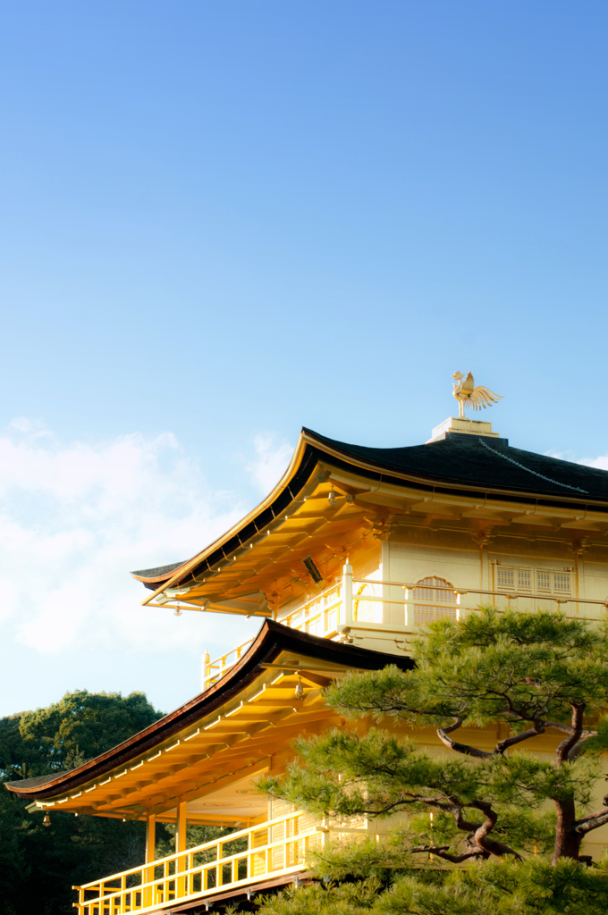 晴天の金閣寺