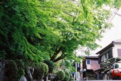 Green2