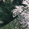 たくす