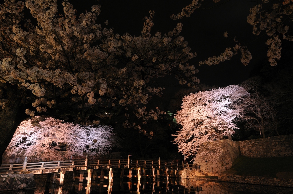 桜華絢爛