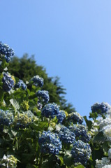 空に向かって・・・
