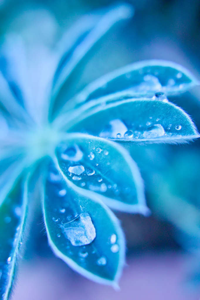 雨上がり