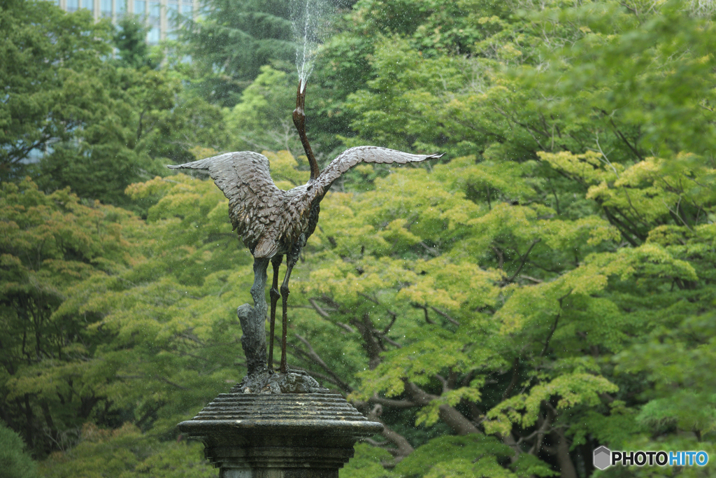 スズメさんのシャワータイム