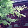日吉大社　'2008.07