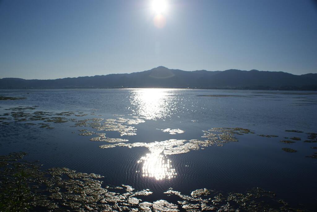 お盆の琵琶湖で#1　'2009.08