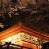夜桜　２０１０年春