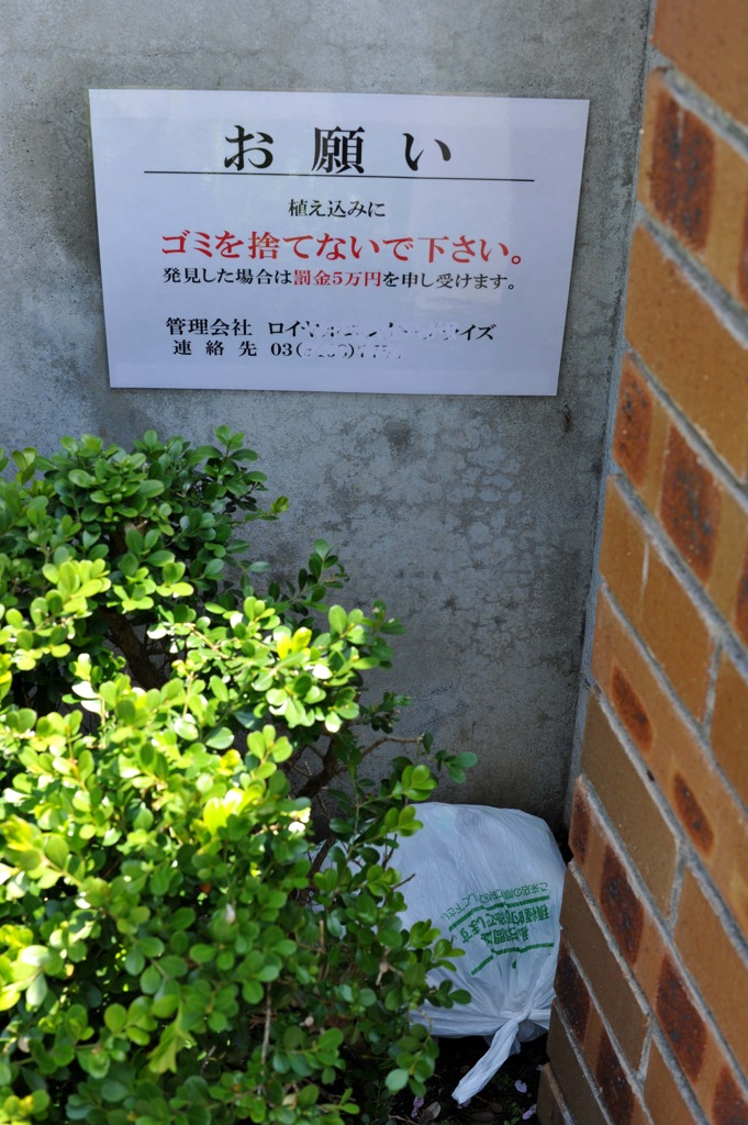 近所